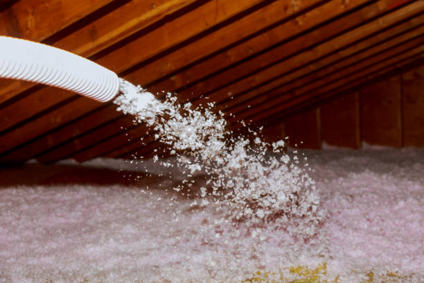 Best Insulation Materials and Products in Darrington, WA