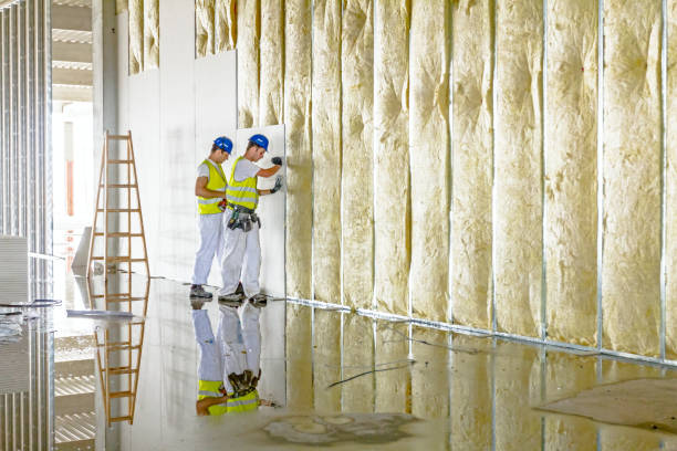 Best Residential Insulation in Darrington, WA